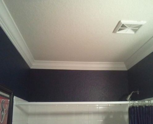 Ceiling Molding Installers